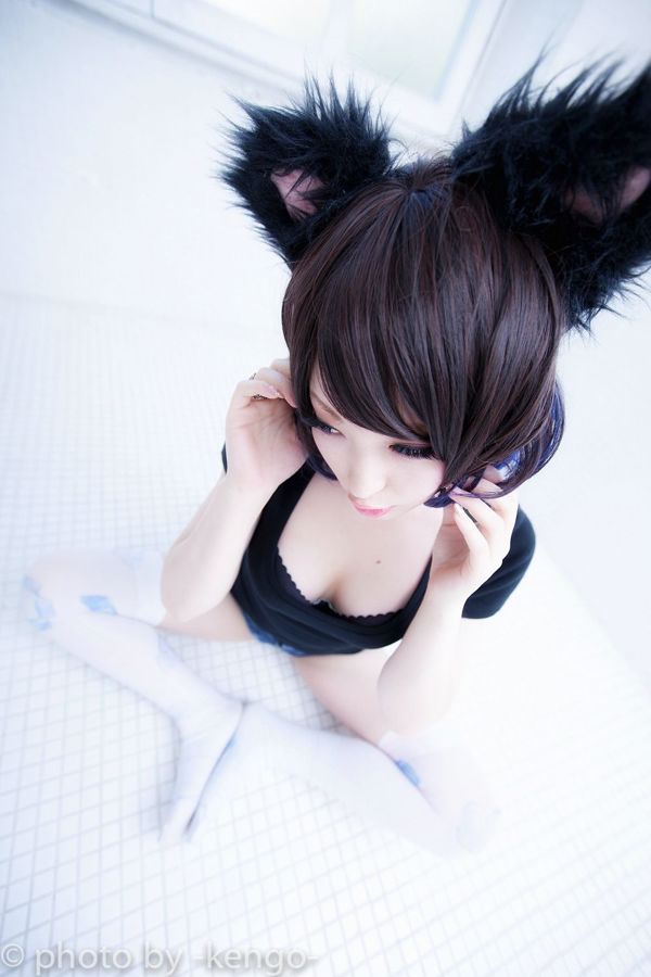 Usagi Necomimi [Cat Solo] [Conigliera]