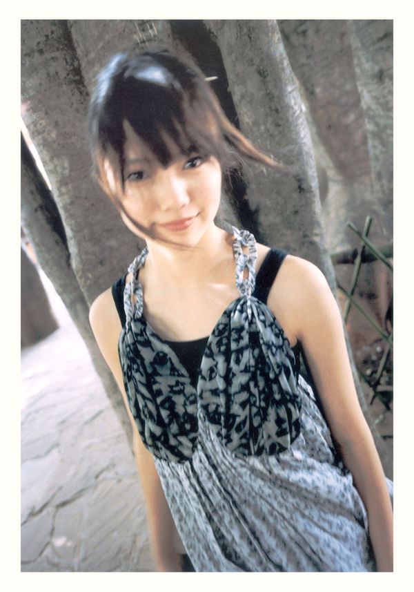 Aoi Miyazaki / Aoi Miyazaki 《20º ANIVERSÁRIO “Light”》 [PB]